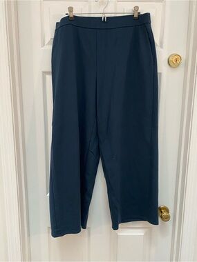 Eileen Fisher Dark Navy Ankle Wide-Leg Trousers - XL